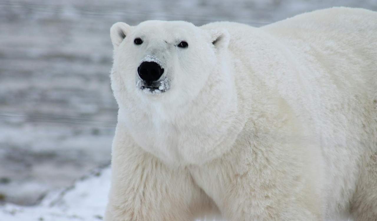 Churchill, Manitoba