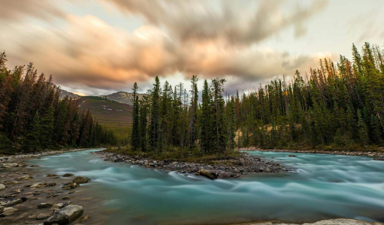 Sunwapta Falls