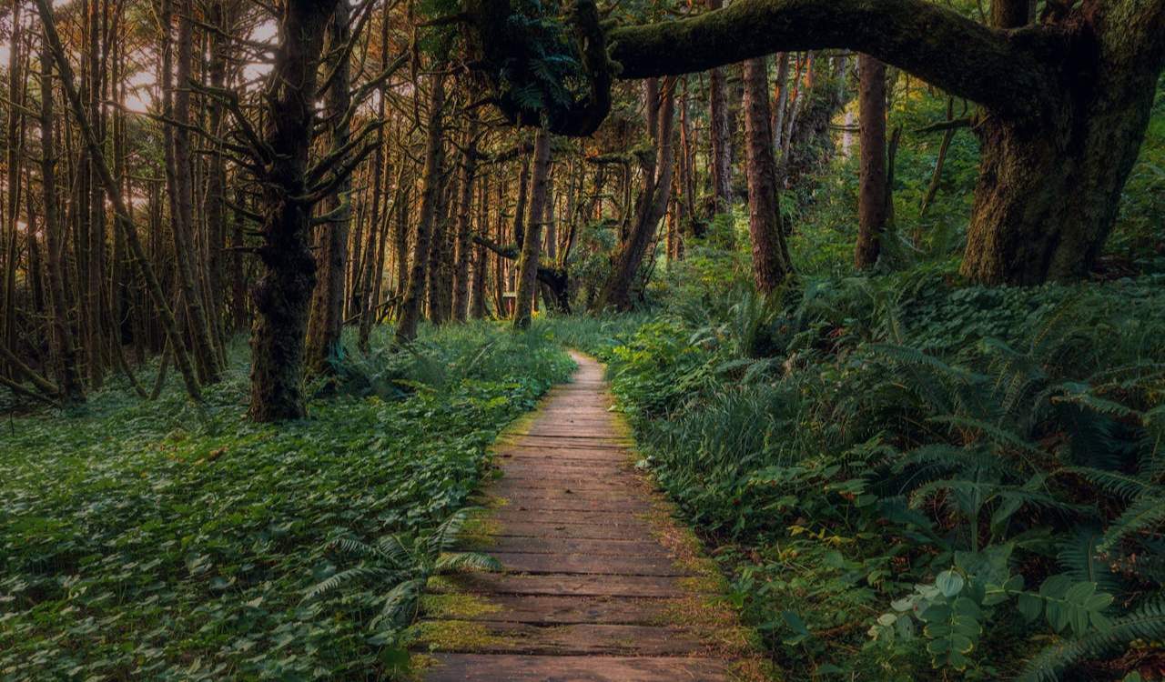 Tofino, British Columbia