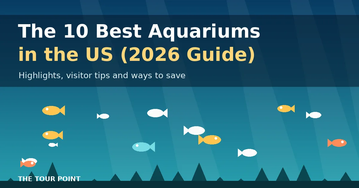 Illustrated underwater scene with colorful fish for a guide to the best aquariums in the US