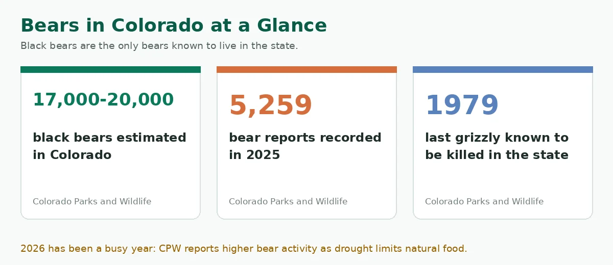 Three cards showing the estimated number of black bears in Colorado, the 2025 bear report count and the year of the last grizzly killed