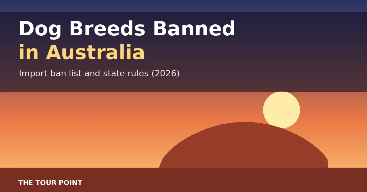Illustrated Australian outback sunset for a guide to dog breeds banned in Australia