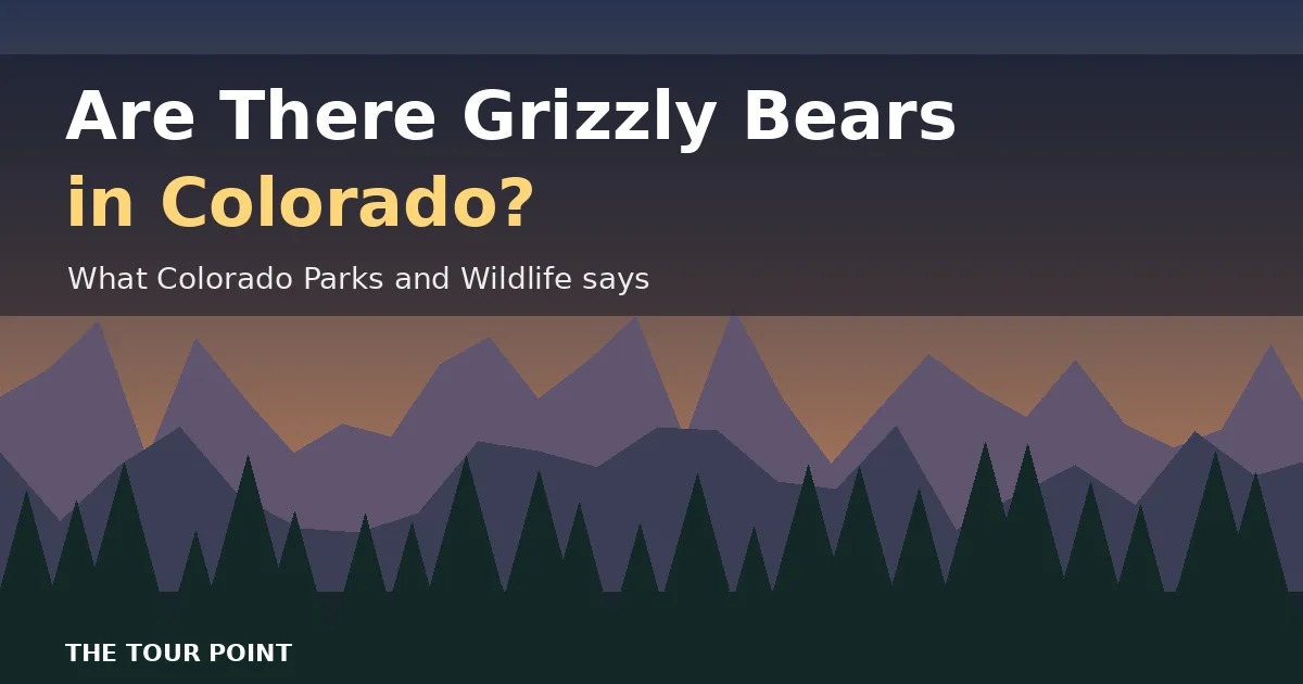 Illustrated mountain and pine forest scene for a guide to grizzly bears in Colorado