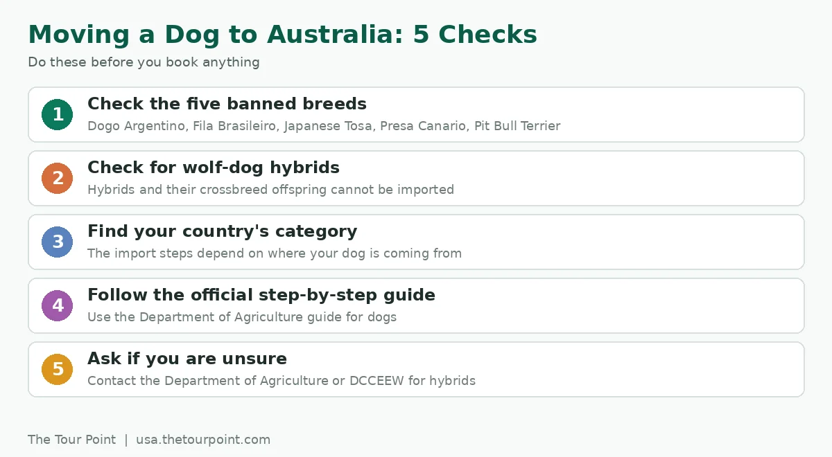 Five-step checklist for moving a dog to Australia, from checking banned breeds to contacting the Department of Agriculture